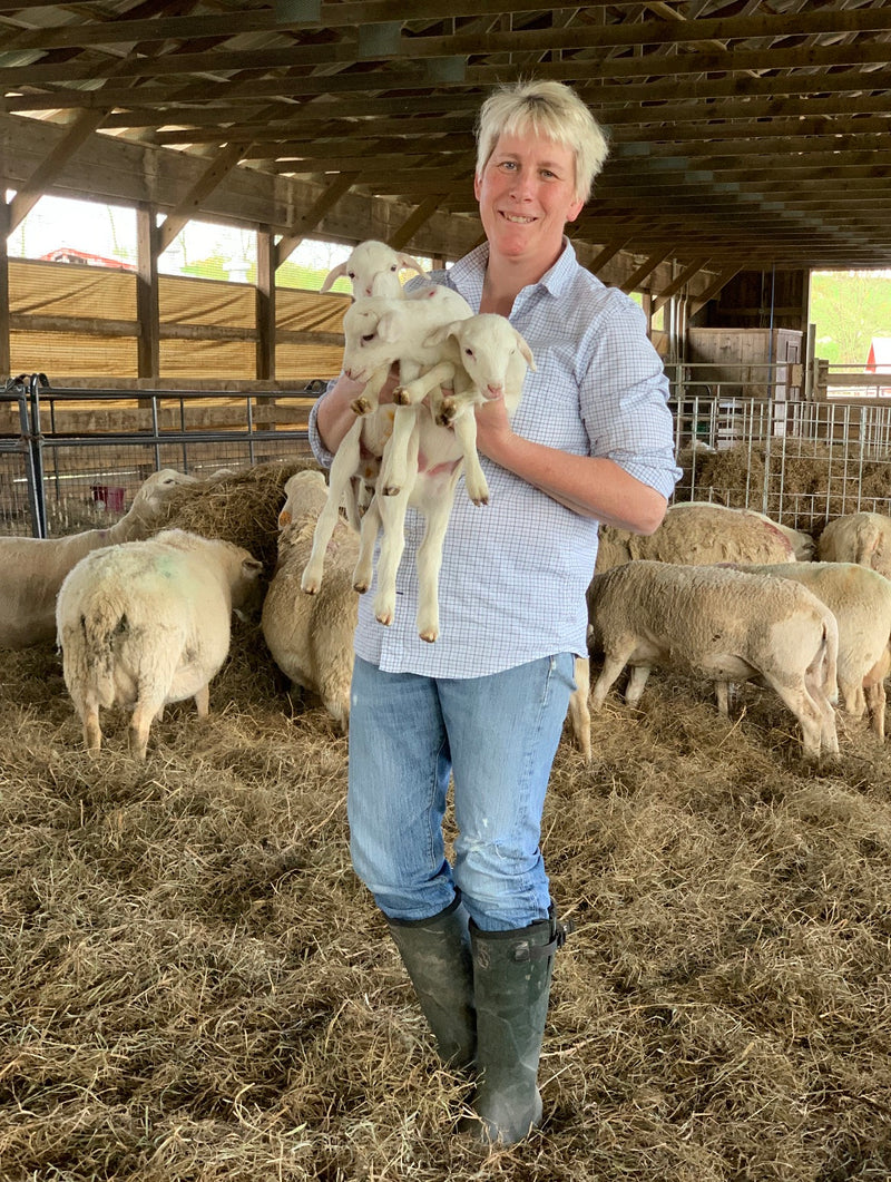 Person holding lambs in a barn.