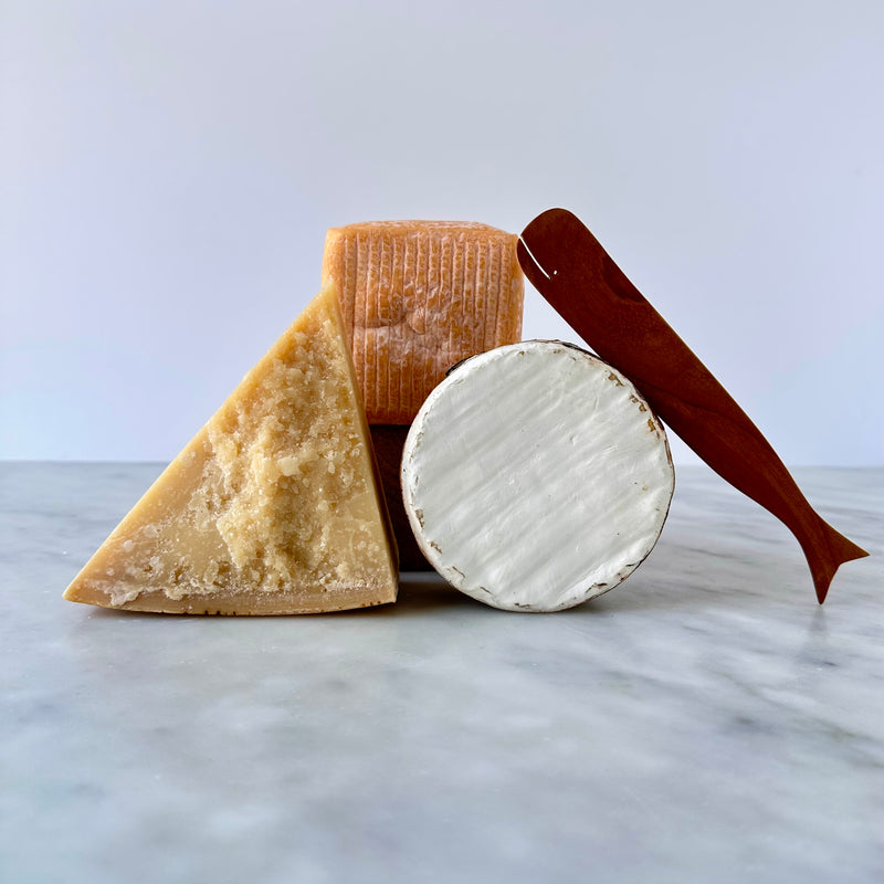 Hudson Whale Cheese Spreader