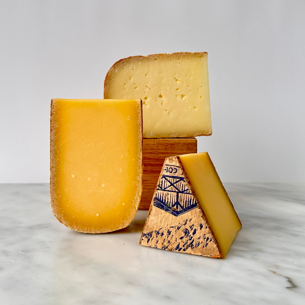 Assorted cheese blocks on a table.