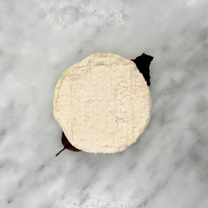 Mothais sur Feuille