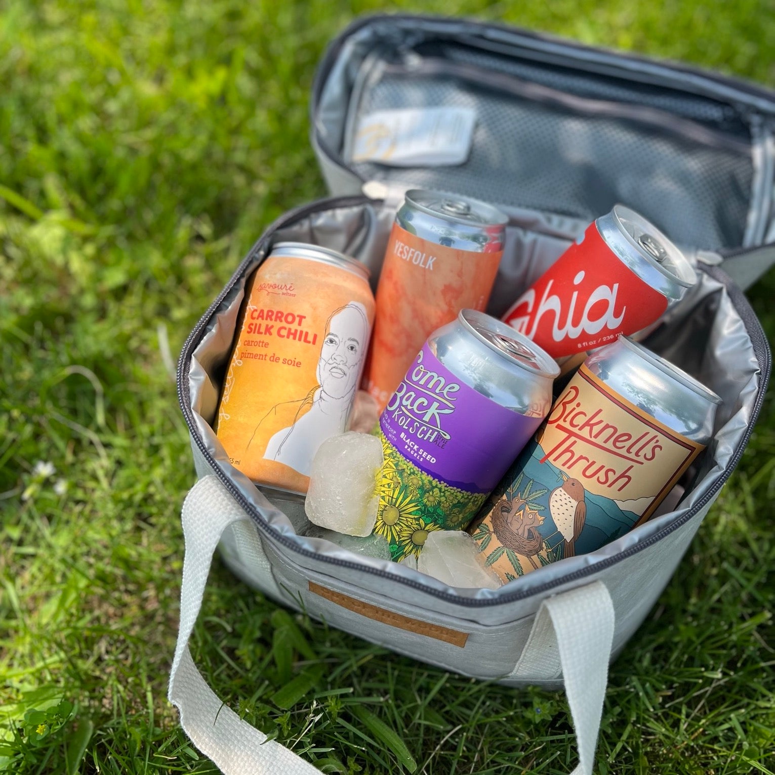 Out of the Woods Insulated Mini Picnic Cooler Bag